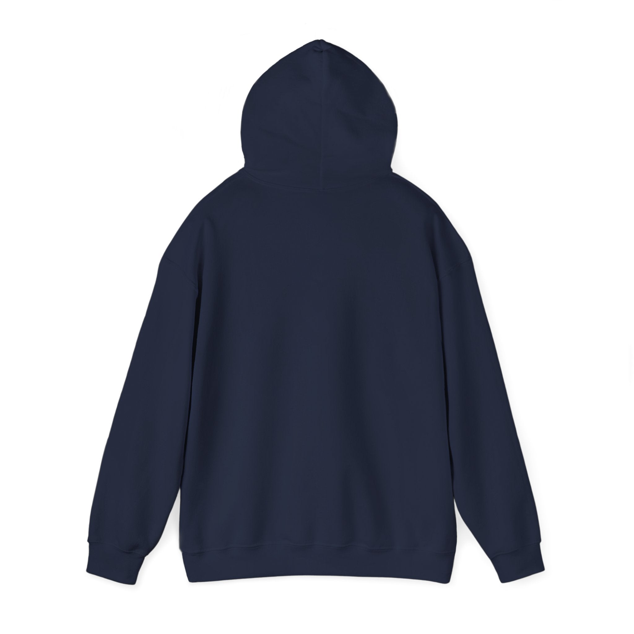 Raven Warrior Hoodie — Gothic Fantasy Character Art Pullover