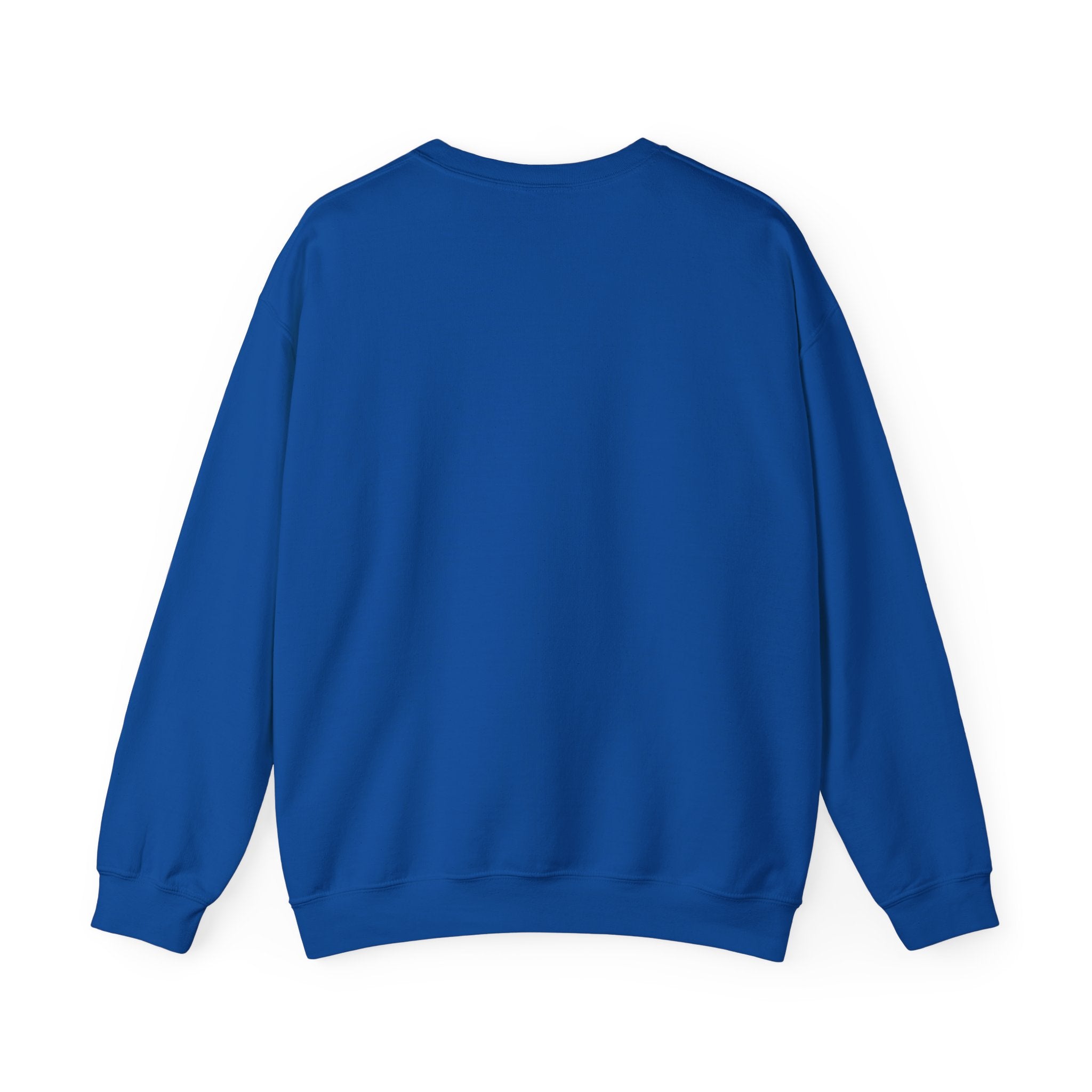Colorful Hoop Birds sweatshirt | Minimal Circles Bird Silhouette Crewneck