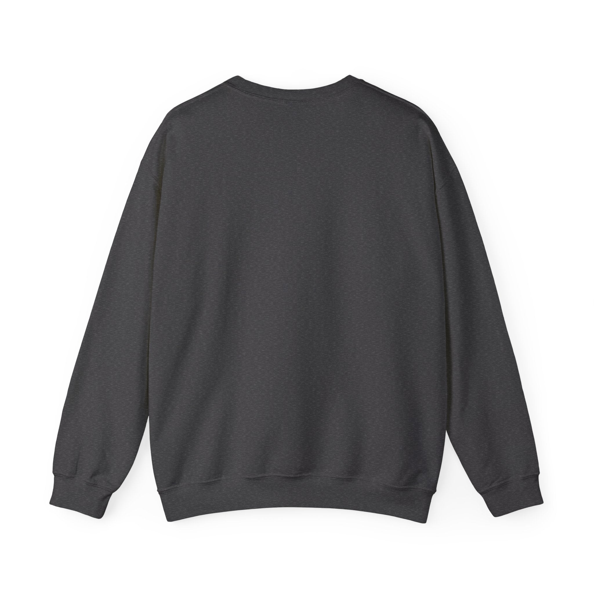 Colorful Hoop Birds sweatshirt | Minimal Circles Bird Silhouette Crewneck