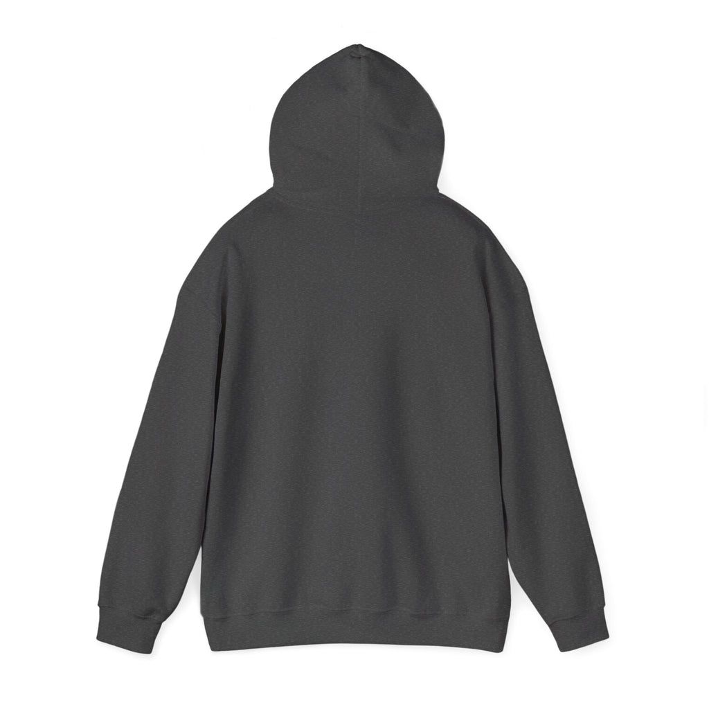 Hoodie — Gothic Angel Warrior Illustration Pullover