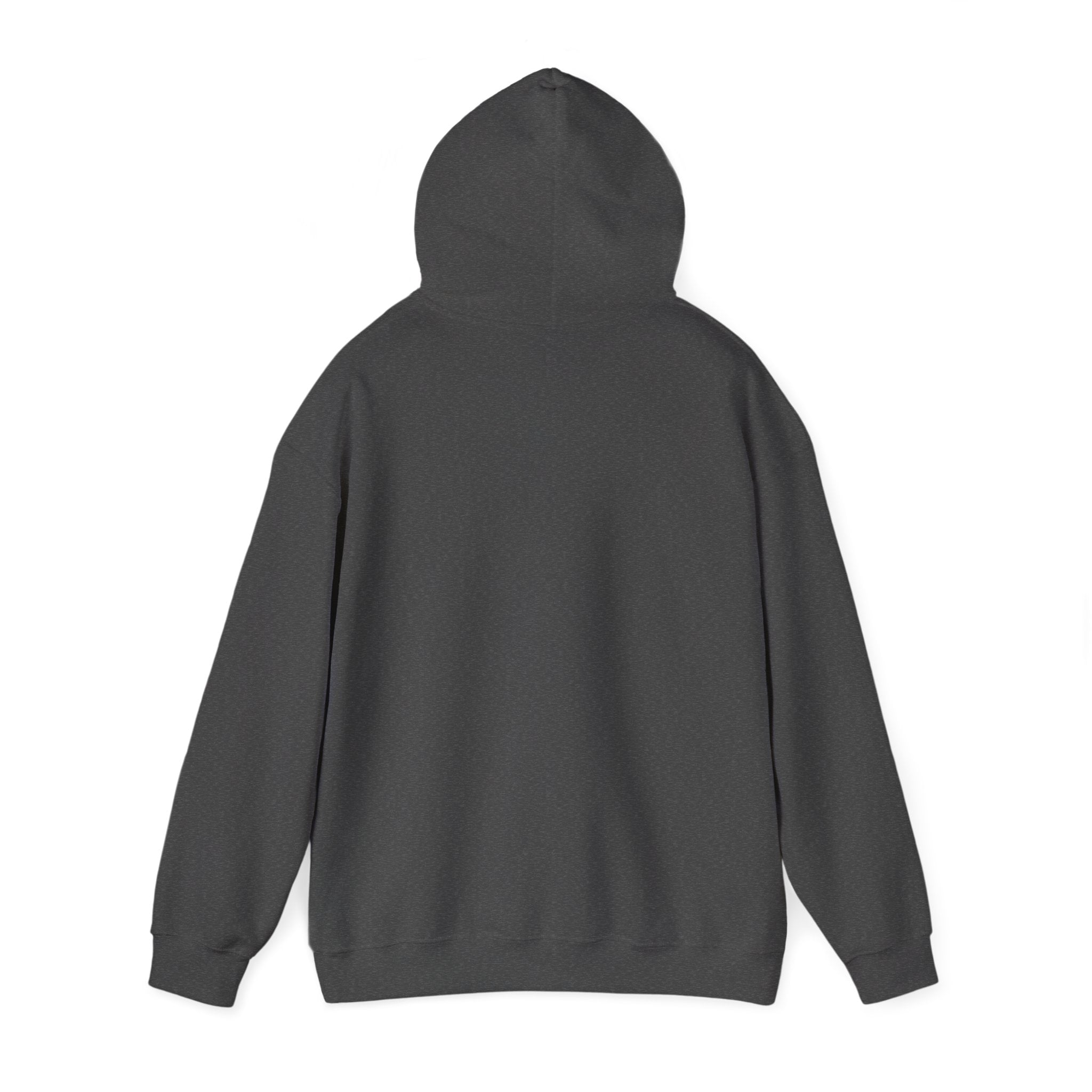 Hoodie — Gothic Angel Warrior Illustration Pullover