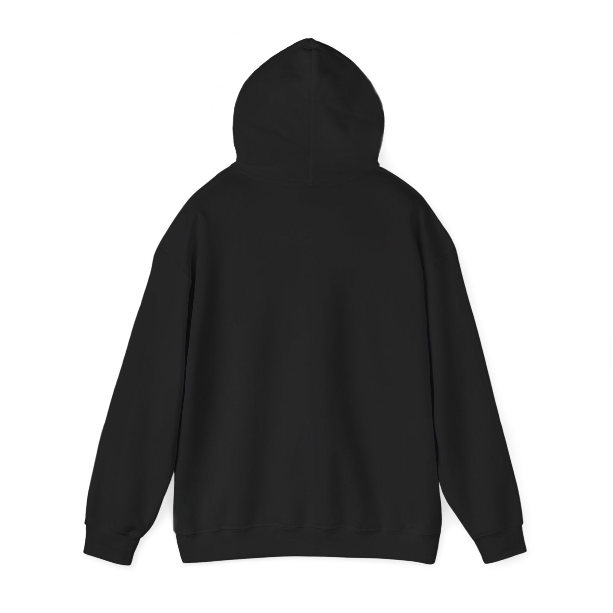 Raven Warrior Hoodie — Gothic Fantasy Character Art Pullover