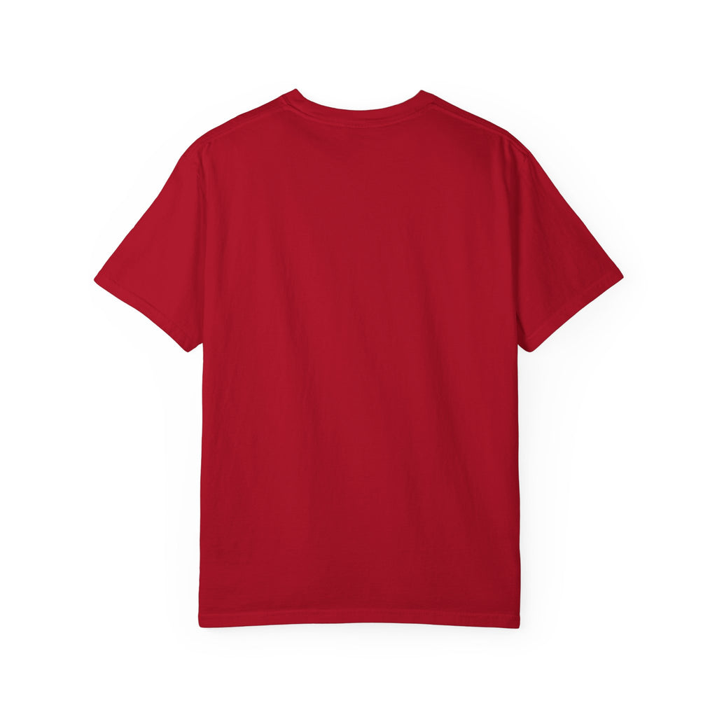 Bird Flight Graphic T-Shirt — Colorful Ring Silhouette Tee