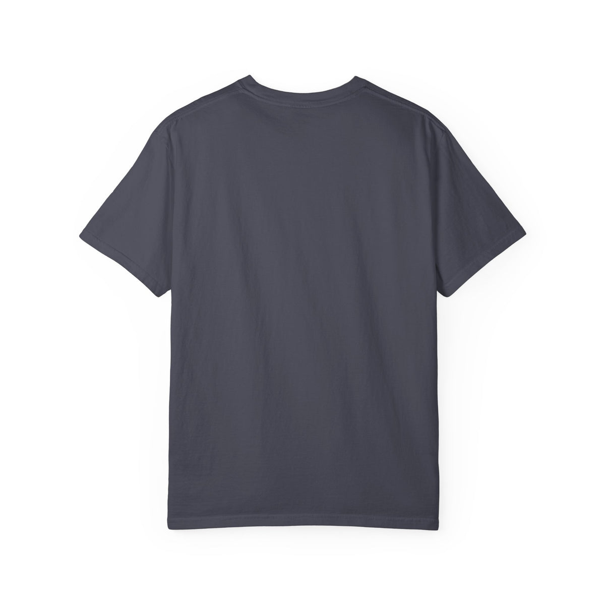 Bird Flight Graphic T-Shirt — Colorful Ring Silhouette Tee
