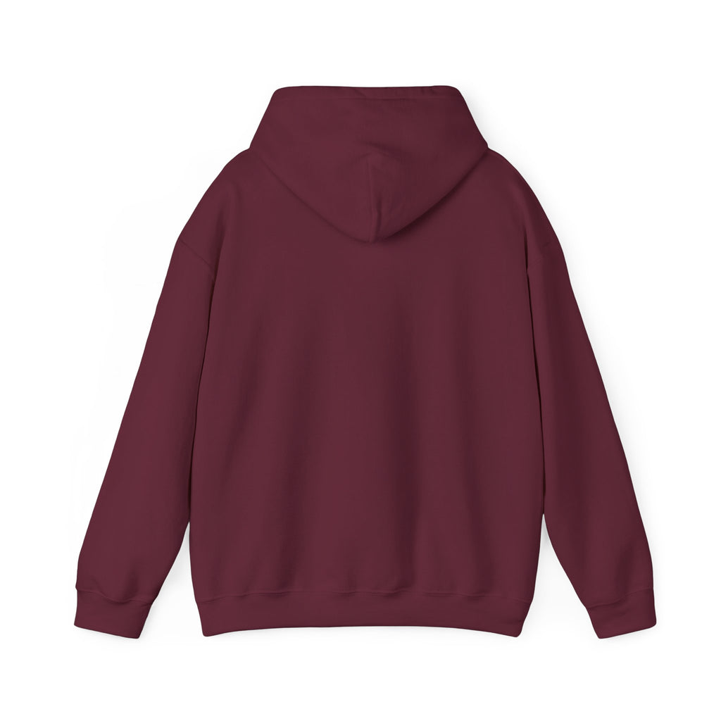 Hoodie — Gothic Angel Warrior Illustration Pullover