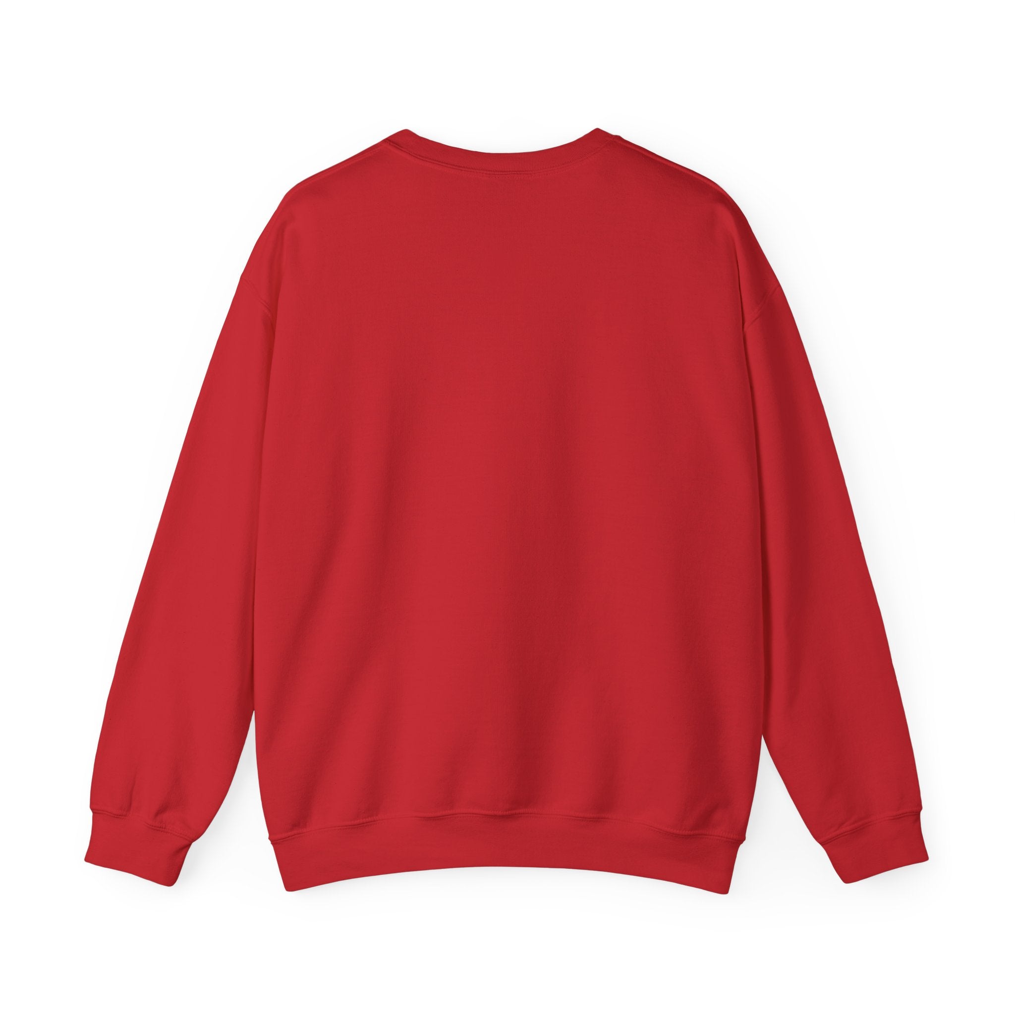 Colorful Hoop Birds sweatshirt | Minimal Circles Bird Silhouette Crewneck