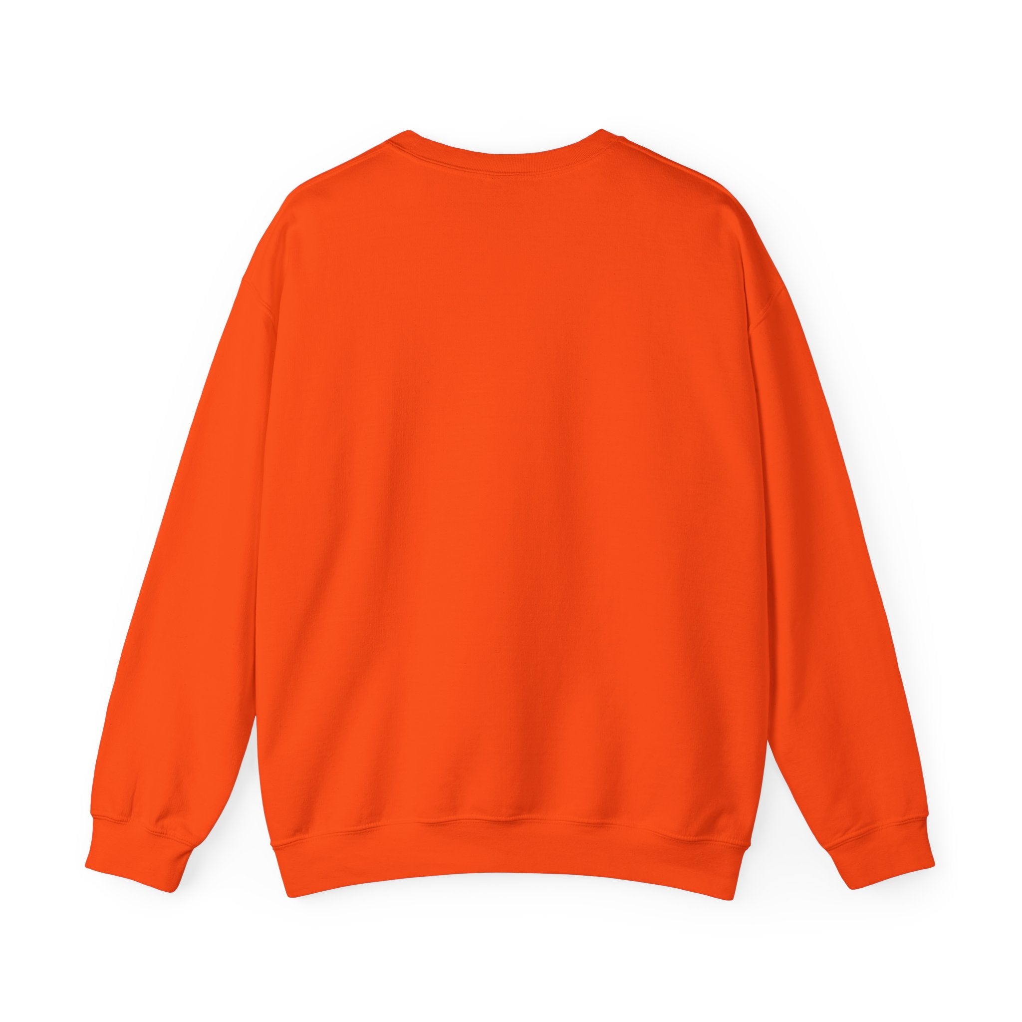 Colorful Hoop Birds sweatshirt | Minimal Circles Bird Silhouette Crewneck