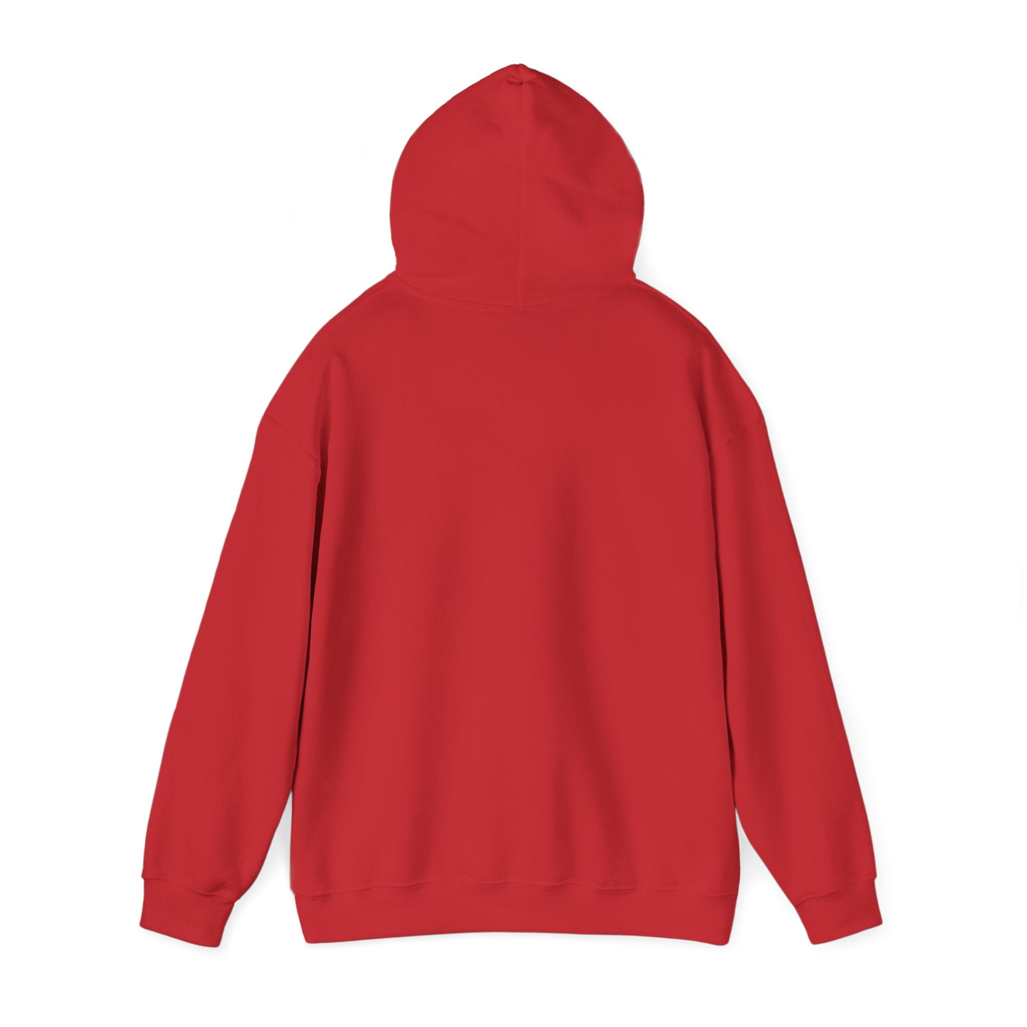 Hoodie — Gothic Angel Warrior Illustration Pullover