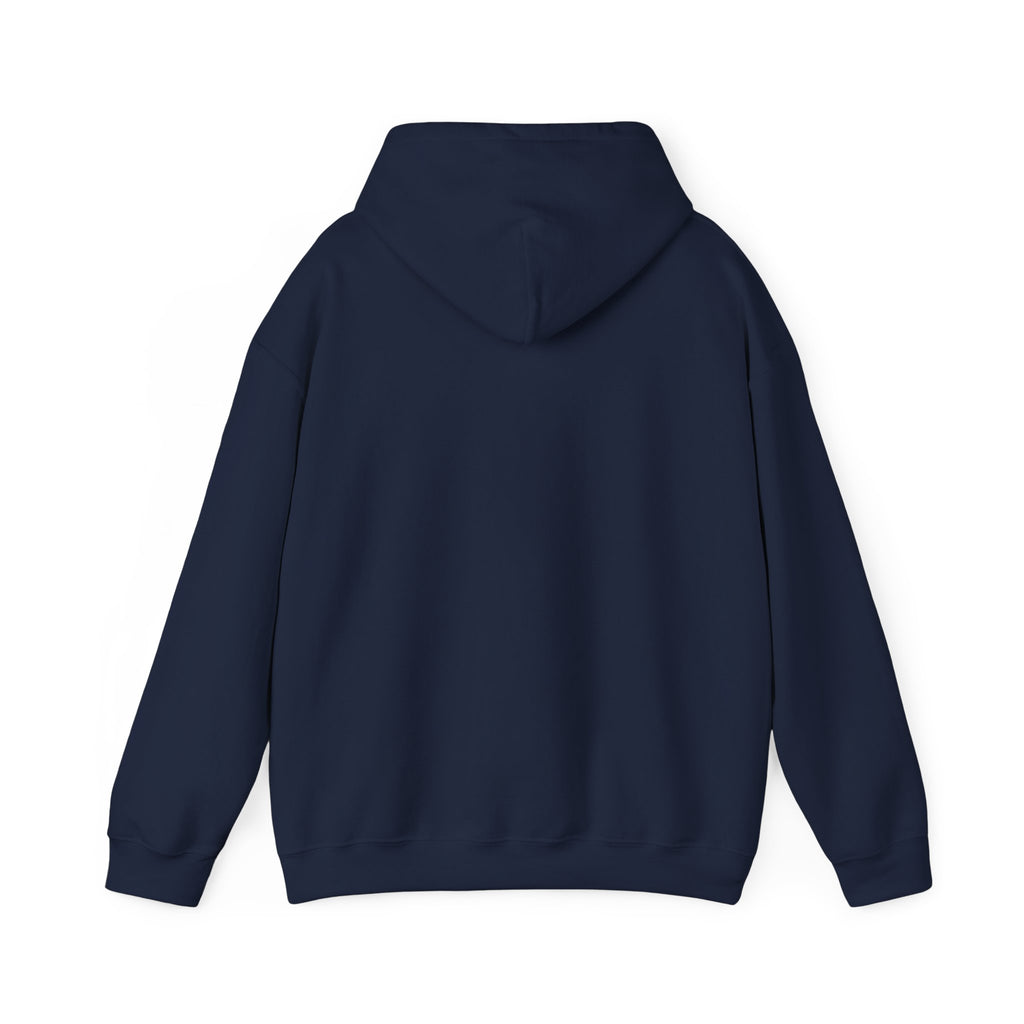 Raven Warrior Hoodie — Gothic Fantasy Character Art Pullover