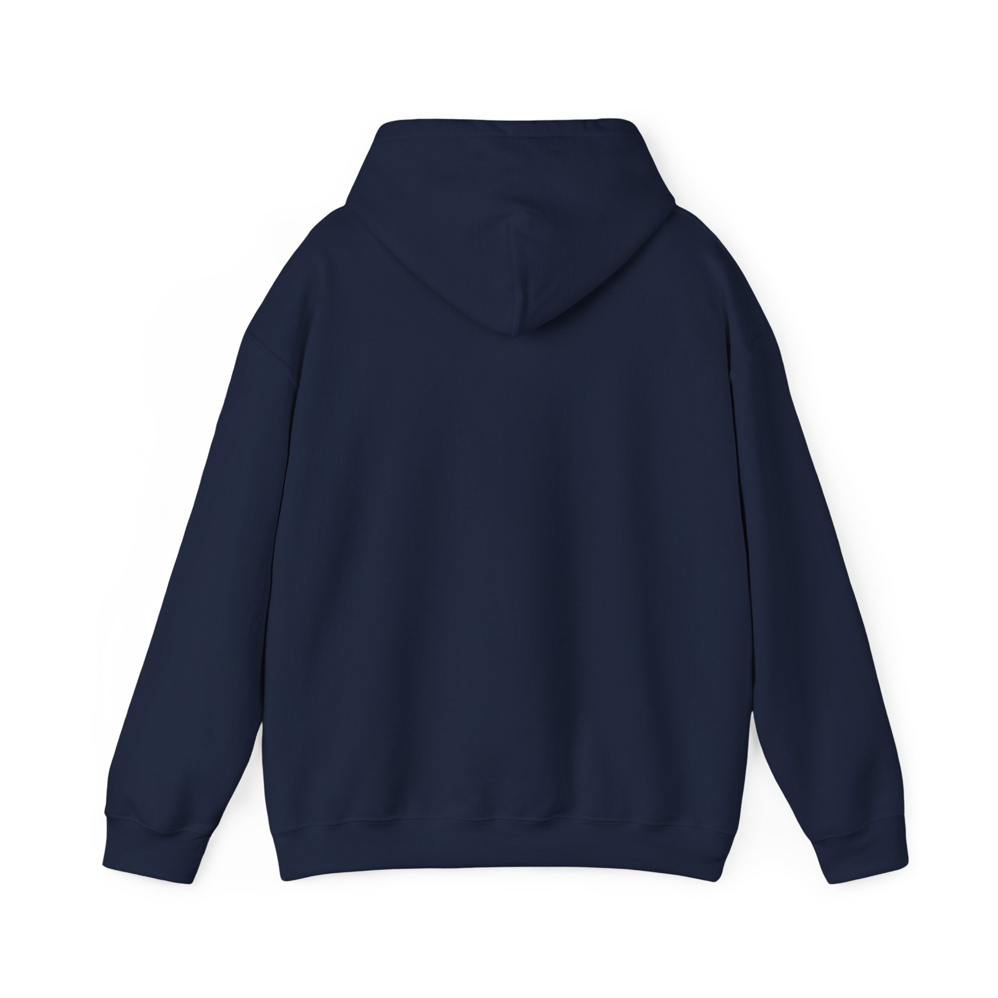 Raven Warrior Hoodie — Gothic Fantasy Character Art Pullover