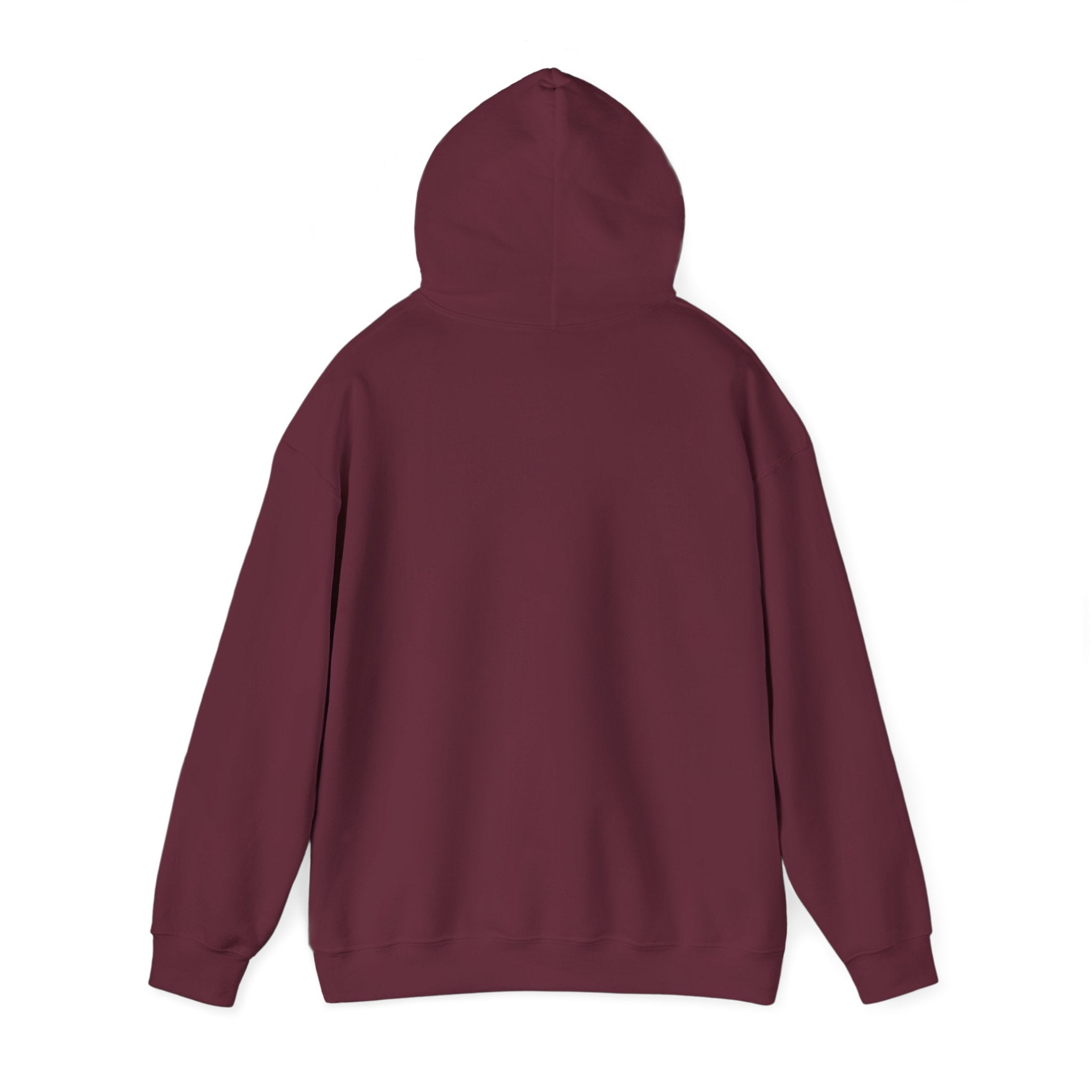 Hoodie — Gothic Angel Warrior Illustration Pullover