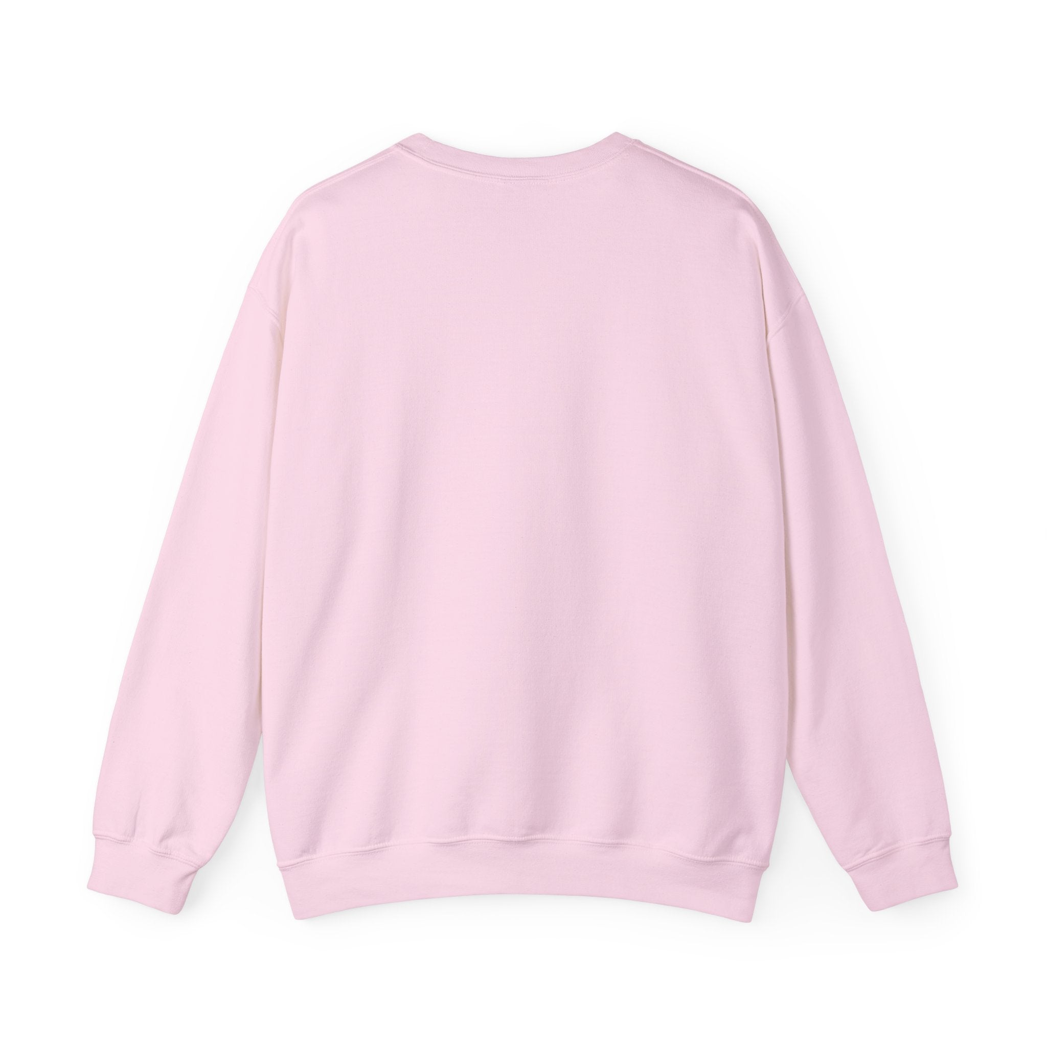 Colorful Hoop Birds sweatshirt | Minimal Circles Bird Silhouette Crewneck