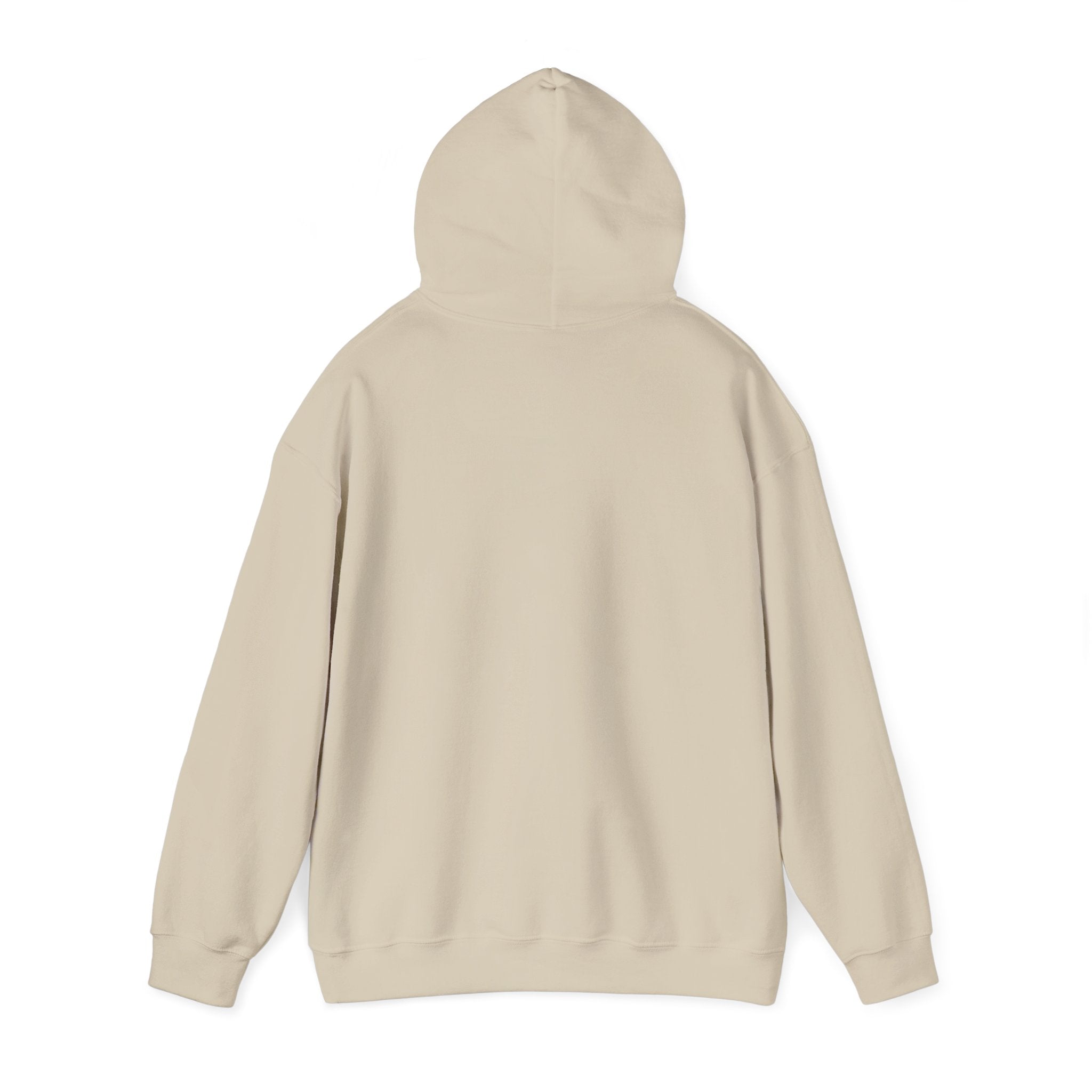 Hoodie — Gothic Angel Warrior Illustration Pullover